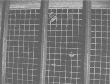 Сверхъестестественное. Научно доказанные факты - _222.jpg