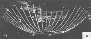 Сверхъестестественное. Научно доказанные факты - _83.jpg