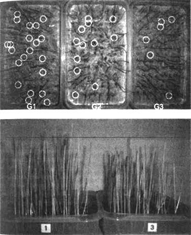 Сверхъестестественное. Научно доказанные факты - _132.jpg