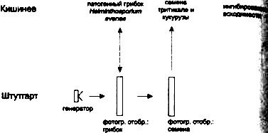 Сверхъестестественное. Научно доказанные факты - _226.jpg