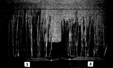 Сверхъестестественное. Научно доказанные факты - _256.jpg