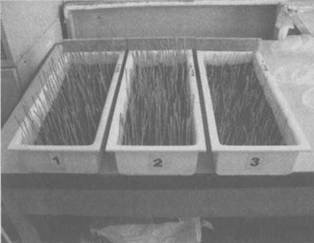 Сверхъестестественное. Научно доказанные факты - _257.jpg