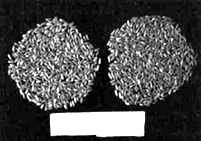 Сверхъестестественное. Научно доказанные факты - _258.jpg