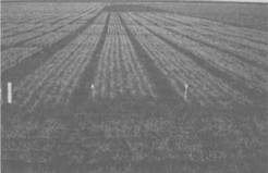 Сверхъестестественное. Научно доказанные факты - _259.jpg