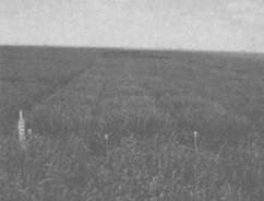 Сверхъестестественное. Научно доказанные факты - _260.jpg