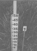 Сверхъестестественное. Научно доказанные факты - _261.jpg