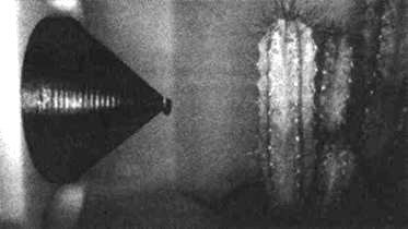 Сверхъестестественное. Научно доказанные факты - _318.jpg