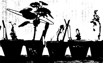 Сверхъестестественное. Научно доказанные факты - _52.jpg