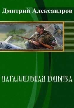 Книга Параллельная попытка (СИ)
