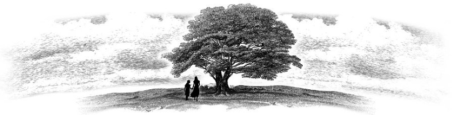 Девушка на причале (ЛП) - derevo.jpg