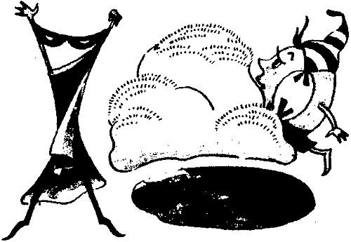 Путешествие по Карликании и Аль-Джебре - i_077.png