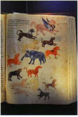 Хроника Монтекассини. В 4 книгах - _29.jpg