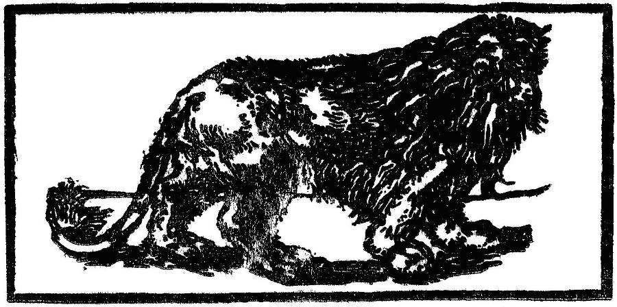 Животный мир легенд и сказок - _20.jpg