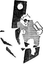 Вулкан в кармане<br />Советская авантюрно-фантастическая проза 1920-х гг.<br />Том XIII - i_039.jpg