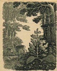 Кремешки - img_4.jpg