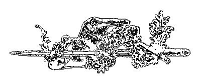 Легенды о короле Артуре и рыцарях Круглого стола - i_006.png