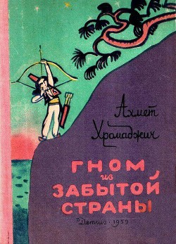 Книга Гном из Забытой страны