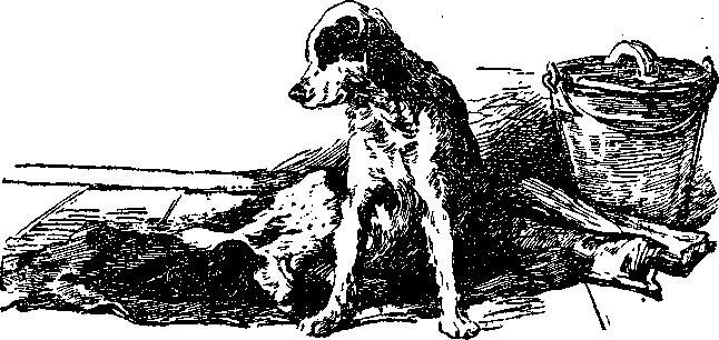 Красные меченосцы<br />Рассказы - i_010.jpg