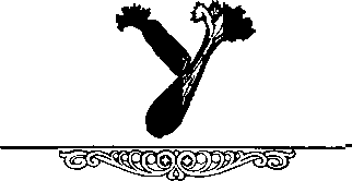 О кулинарии от А до Я. Словарь-справочник - image21.png