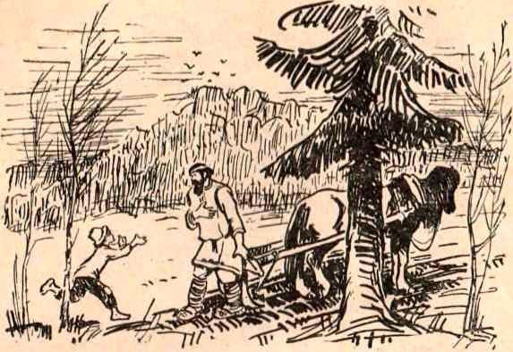 Сабля атамана<br />Рассказы<br />(пер. с марийского) - i_012.jpg