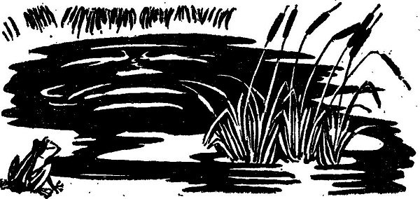 Горицвет (сборник) - img_8.jpg