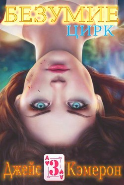 Книга Безумие 3. Цирк (ЛП)