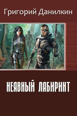 Книга Неявный лабиринт (СИ)