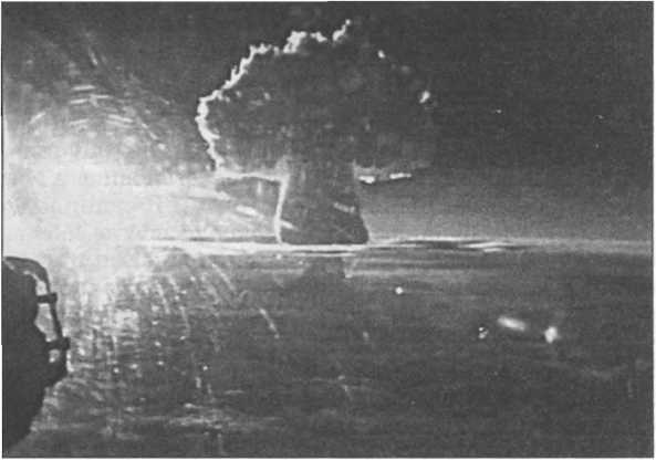 Оружие Победы - i_165.jpg