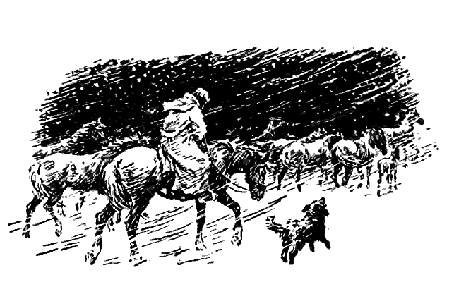 Литературно-художественный альманах «Дружба», № 4 - i_055.png