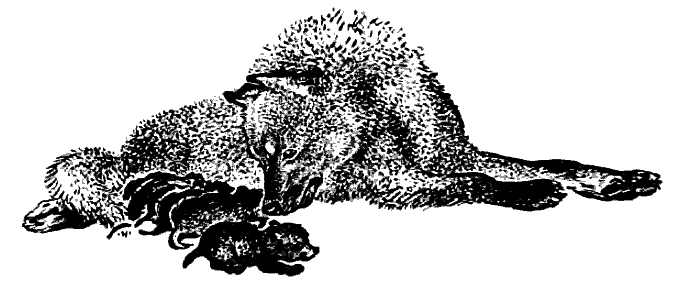 Литературно-художественный альманах «Дружба», № 4 - i_065.png