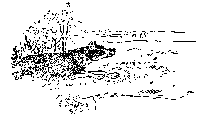 Литературно-художественный альманах «Дружба», № 4 - i_067.png