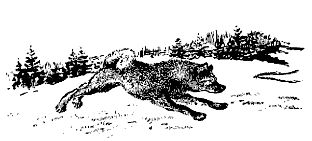 Литературно-художественный альманах «Дружба», № 4 - i_069.png