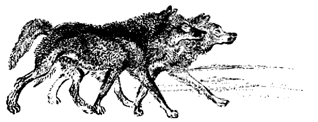 Литературно-художественный альманах «Дружба», № 4 - i_070.png