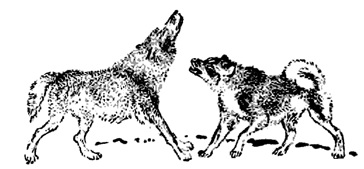 Литературно-художественный альманах «Дружба», № 4 - i_073.png