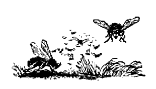 Литературно-художественный альманах «Дружба», № 4 - i_105.png