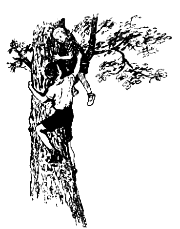 Литературно-художественный альманах «Дружба», № 4 - i_114.png