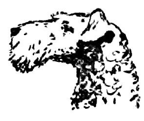 Литературно-художественный альманах «Дружба», № 4 - i_136.png