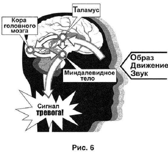 Основы личной безопасности (СИ) - i_006.jpg