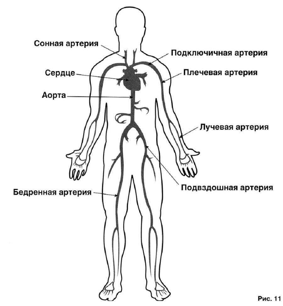 Основы личной безопасности (СИ) - i_011.jpg