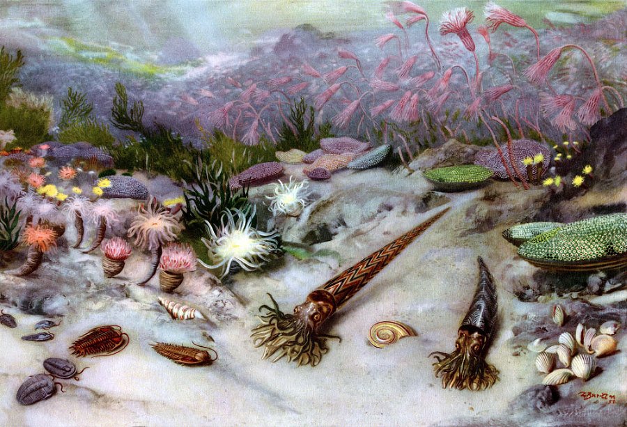 По пути развития жизни - doc2fb_image_02000005.jpg