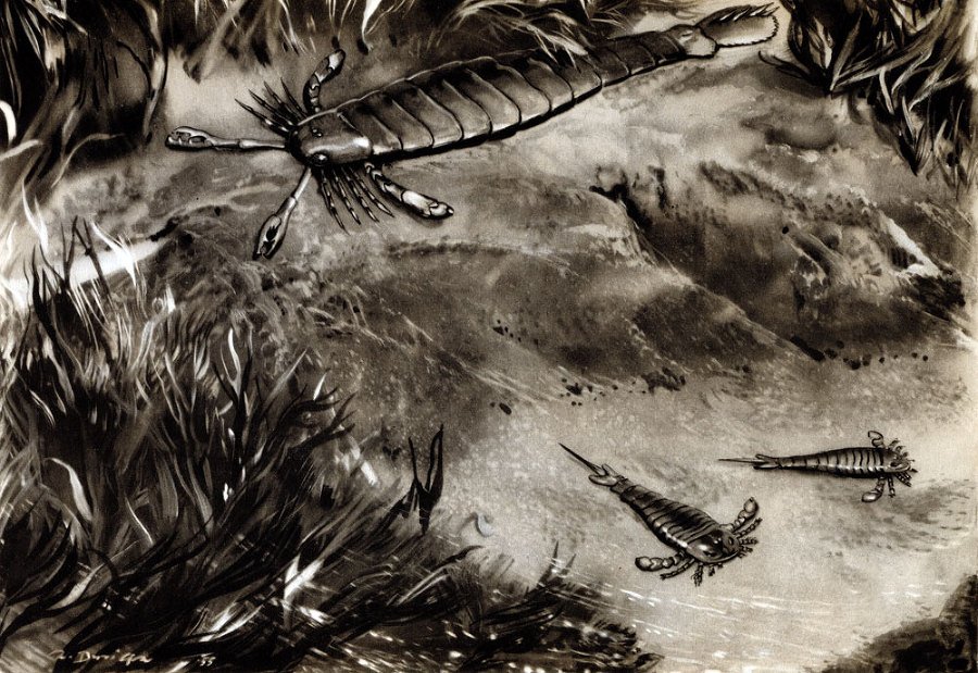 По пути развития жизни - doc2fb_image_02000006.jpg