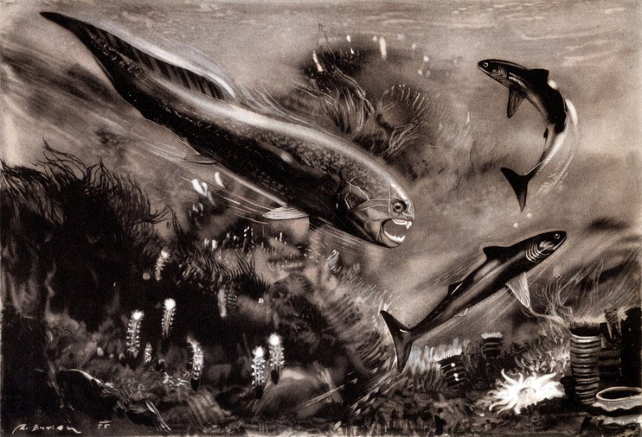 По пути развития жизни - doc2fb_image_02000007.jpg