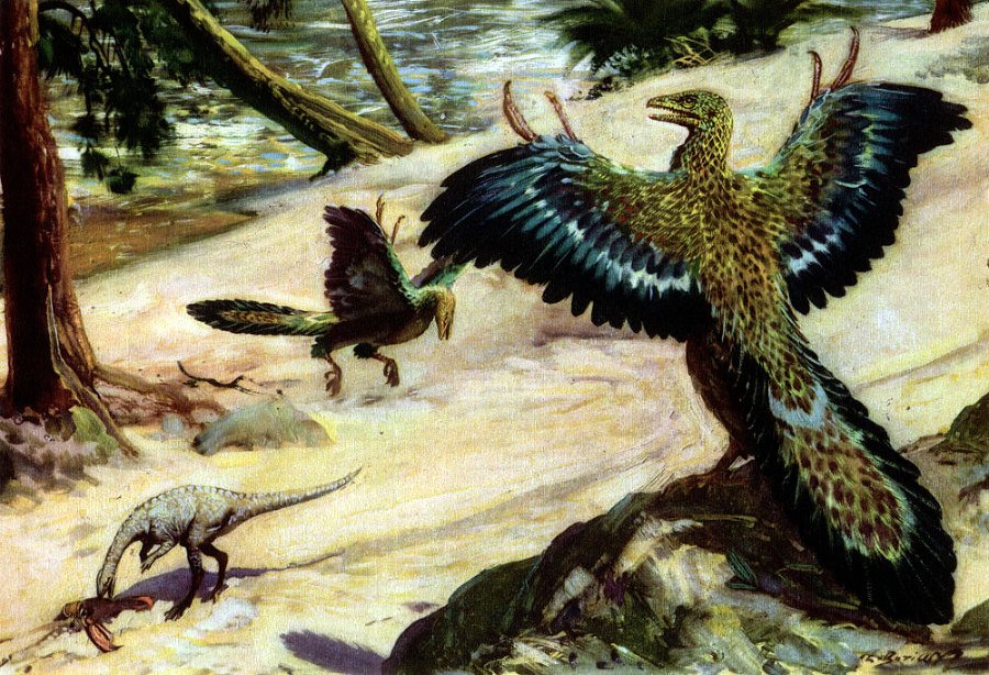 По пути развития жизни - doc2fb_image_02000028.jpg