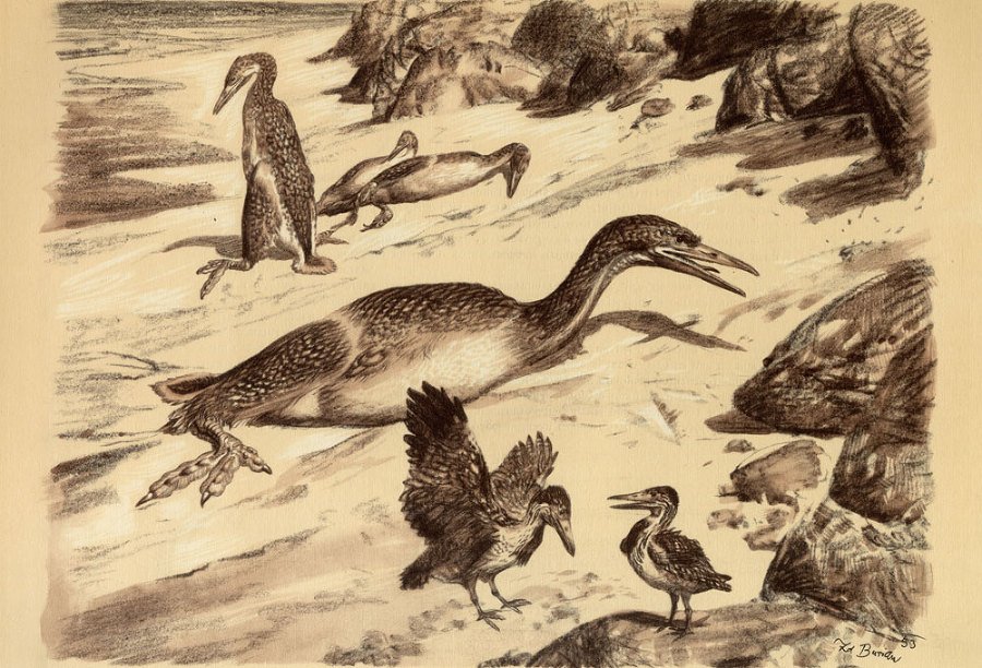 По пути развития жизни - doc2fb_image_02000029.jpg