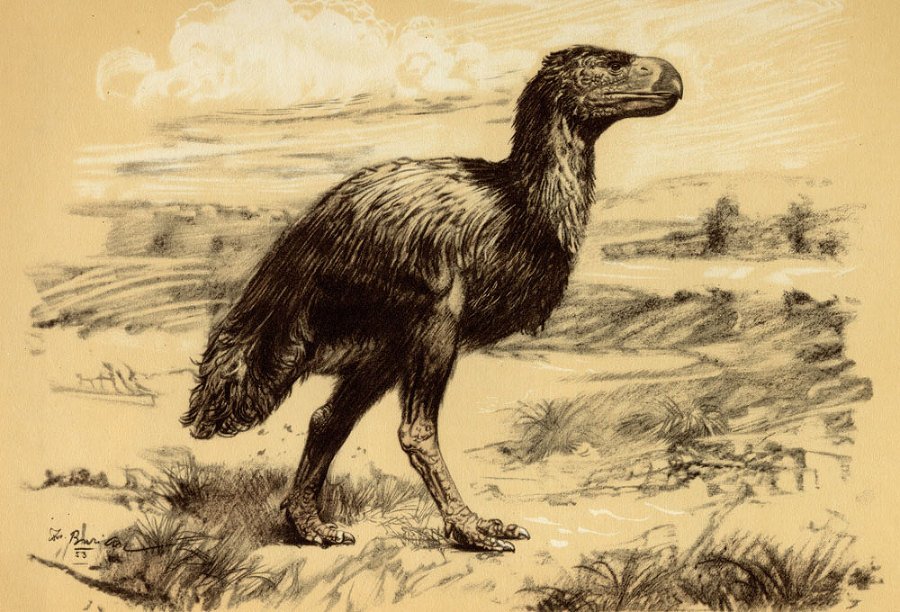 По пути развития жизни - doc2fb_image_0200002A.jpg