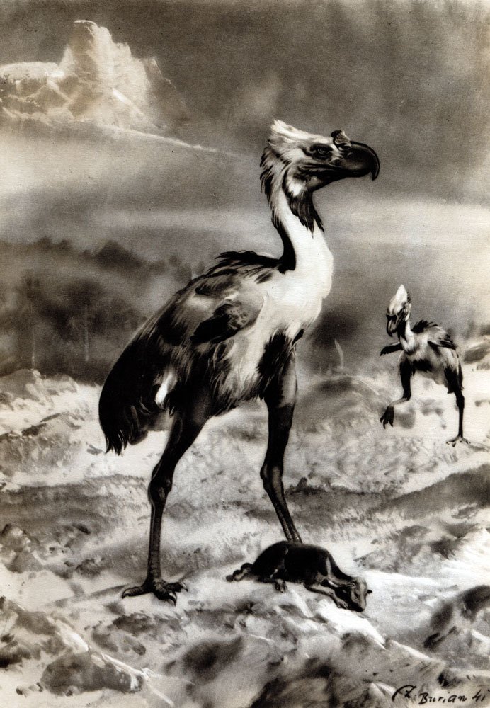 По пути развития жизни - doc2fb_image_0200002B.jpg