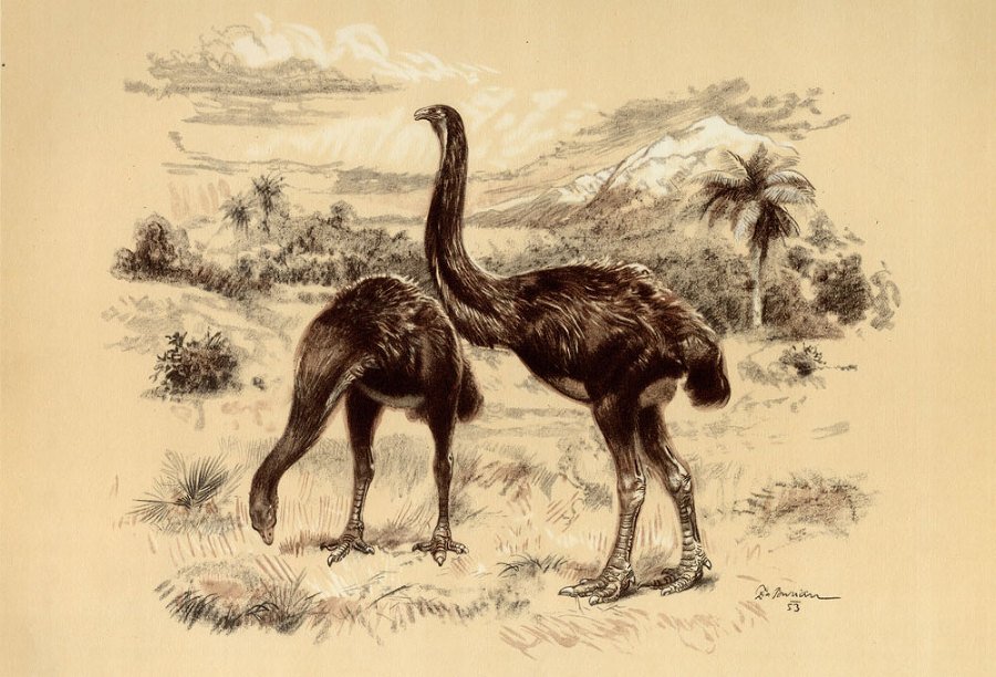 По пути развития жизни - doc2fb_image_0200002C.jpg