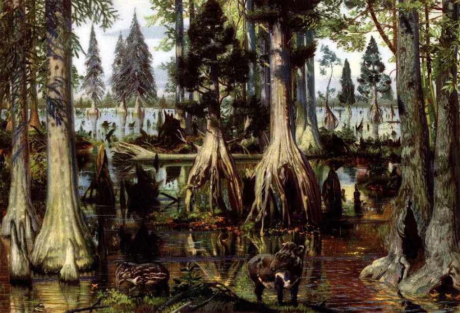 По пути развития жизни - doc2fb_image_0200002D.jpg