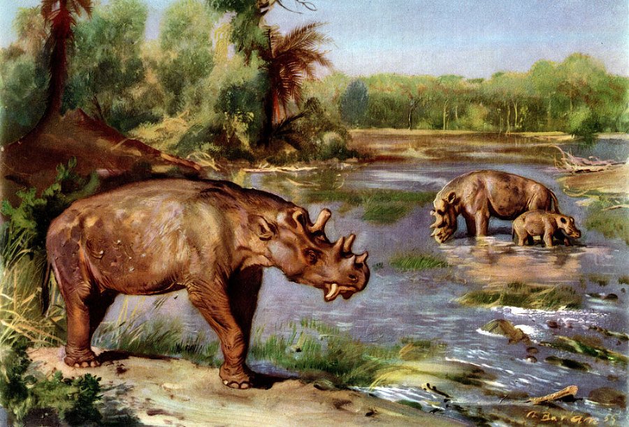 По пути развития жизни - doc2fb_image_0200002F.jpg