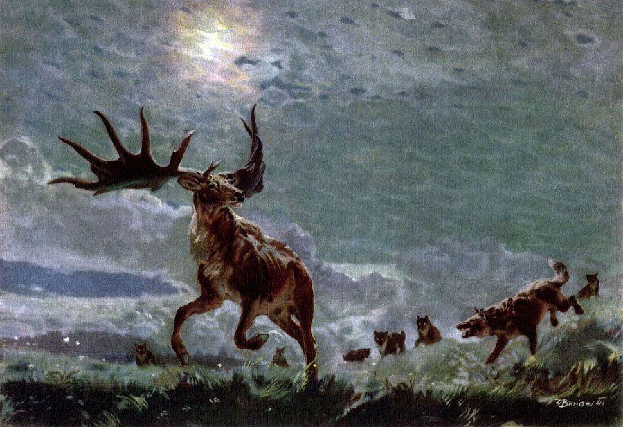 По пути развития жизни - doc2fb_image_02000038.jpg